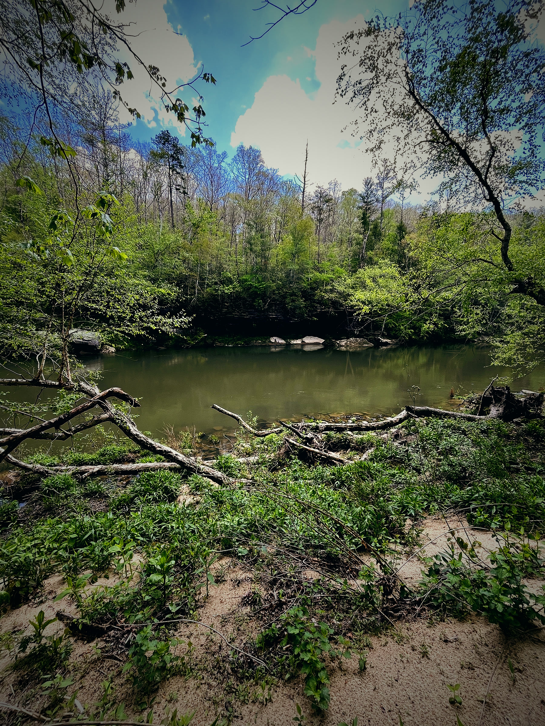 A quiet river bend at Big South Fork