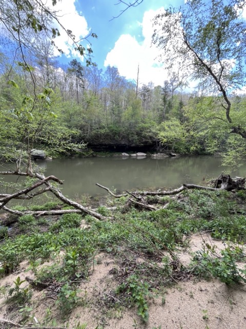 Burnt Mill Bridge Loop
