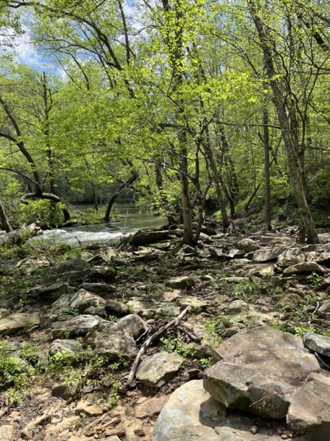 Burnt Mill Bridge Loop