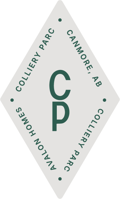 Colliery Parc accent graphic