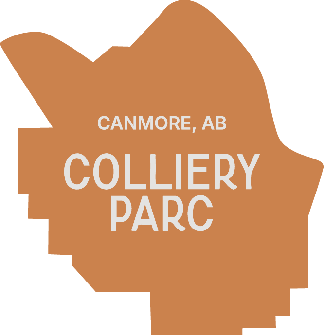 Colliery Parc accent graphic