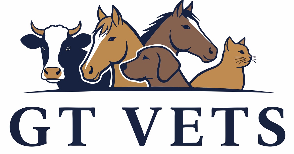 Logo for GT vets featuring name and some animals
