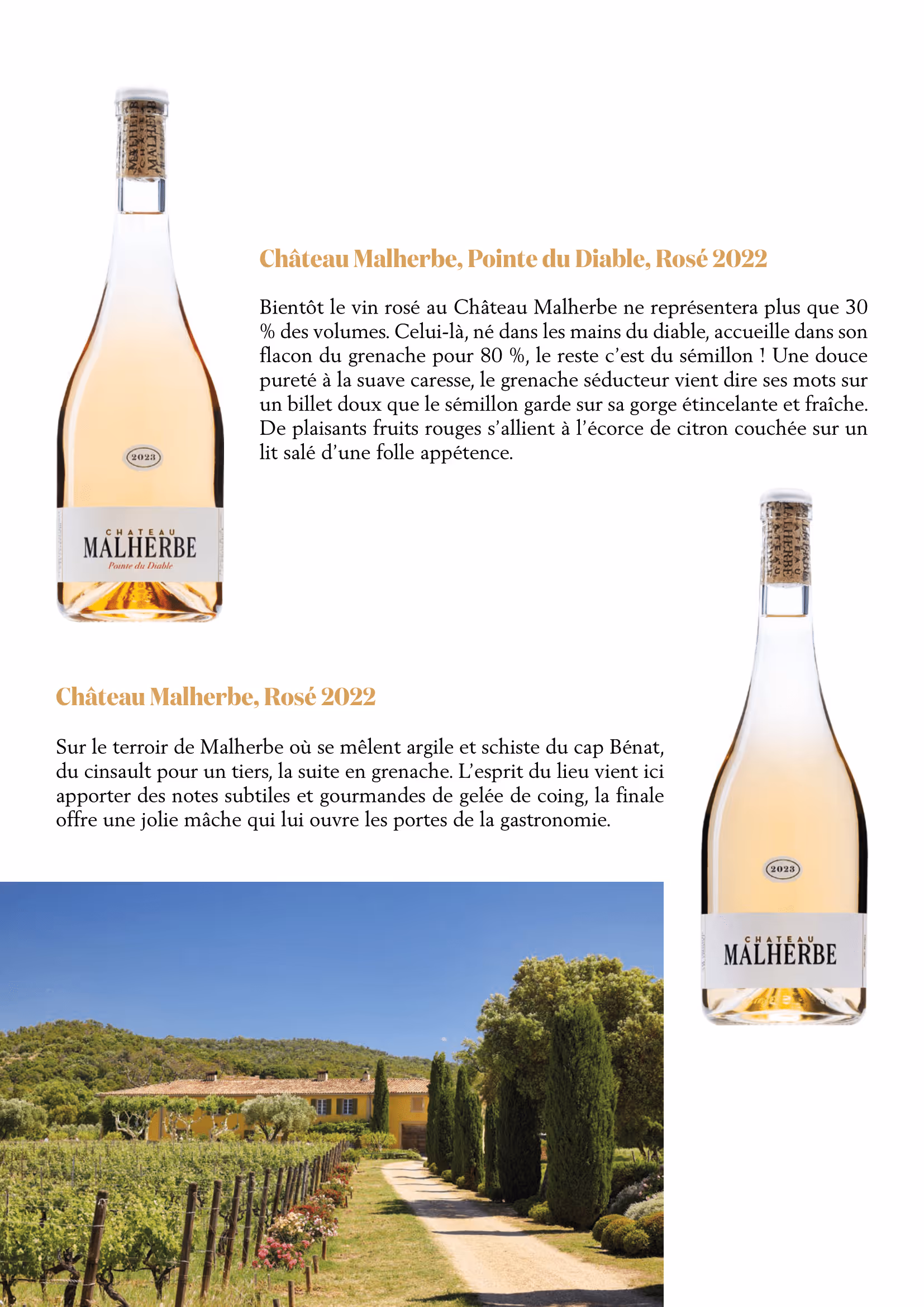 Revue de presse Château Malherbe