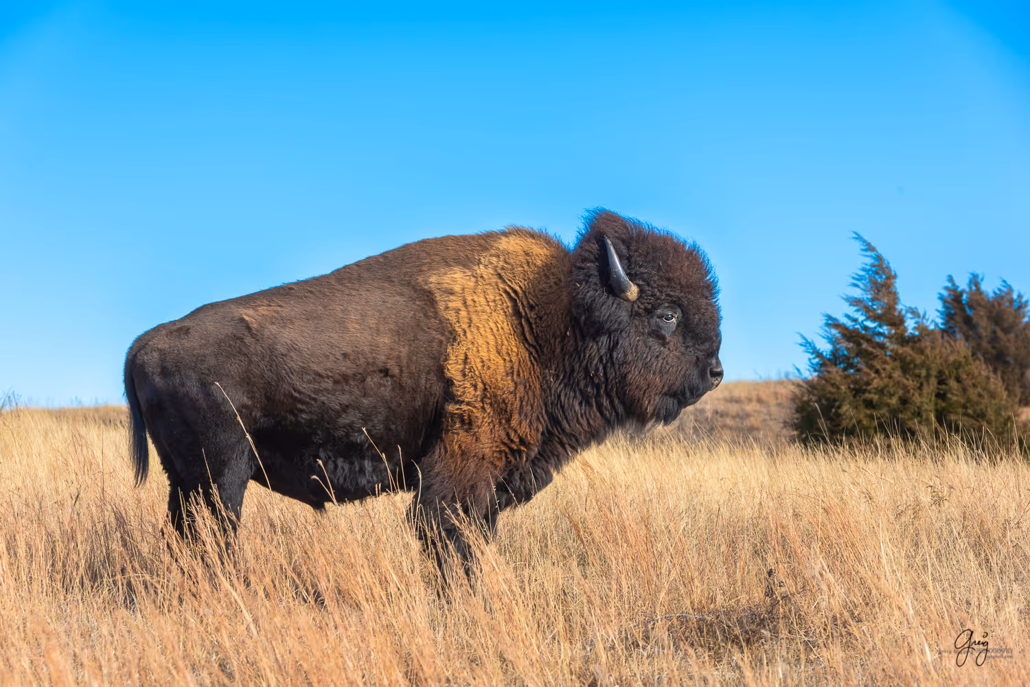 A cozy interior of a room in ReWild Ranch.