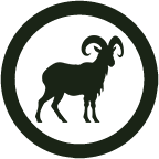 Predators icon