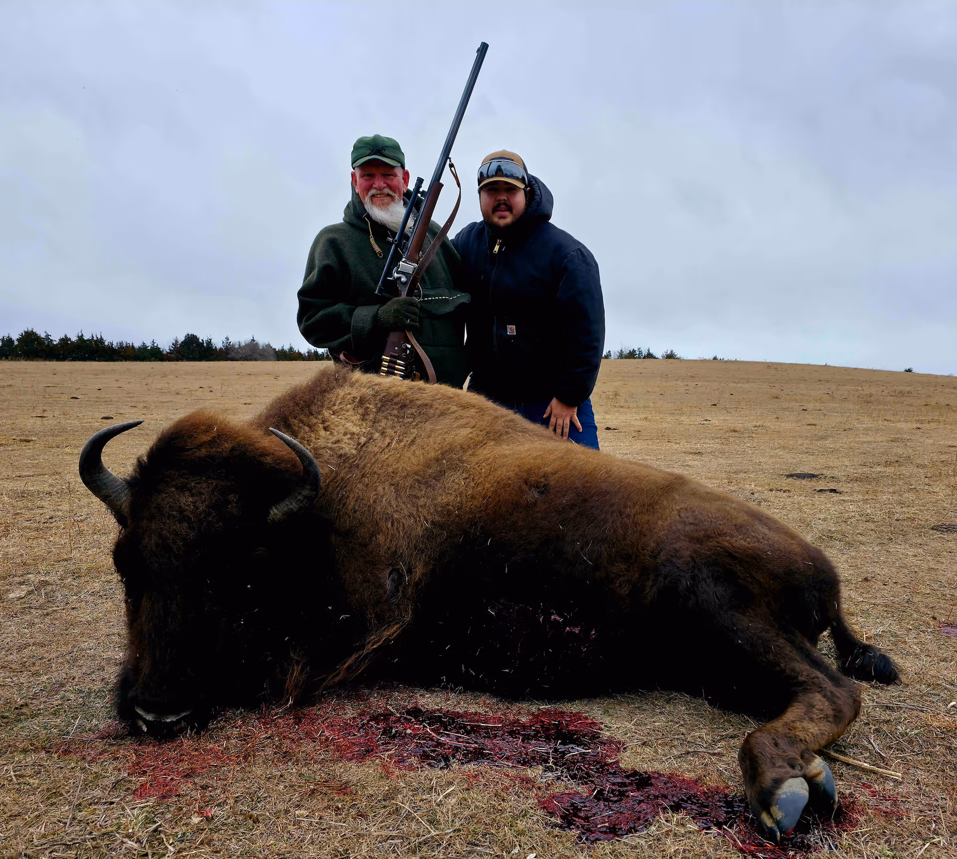 A photo of many Elks in the wild near ReWild Ranch