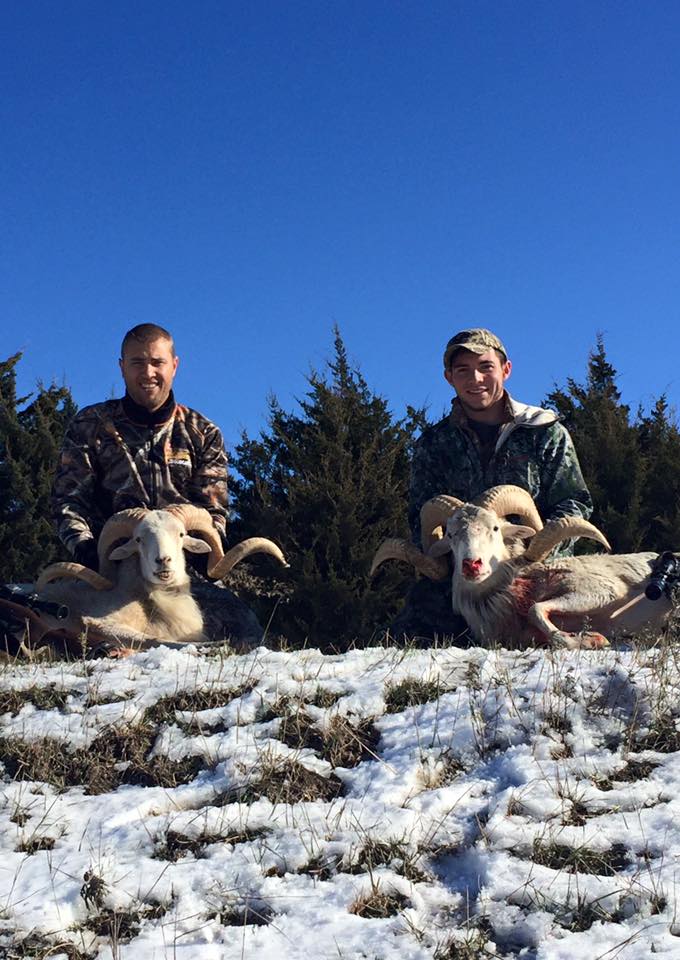 Trophy bison harvested on a guided hunt at ReWild Ranch, Nebraska — ethical and accessible experience.