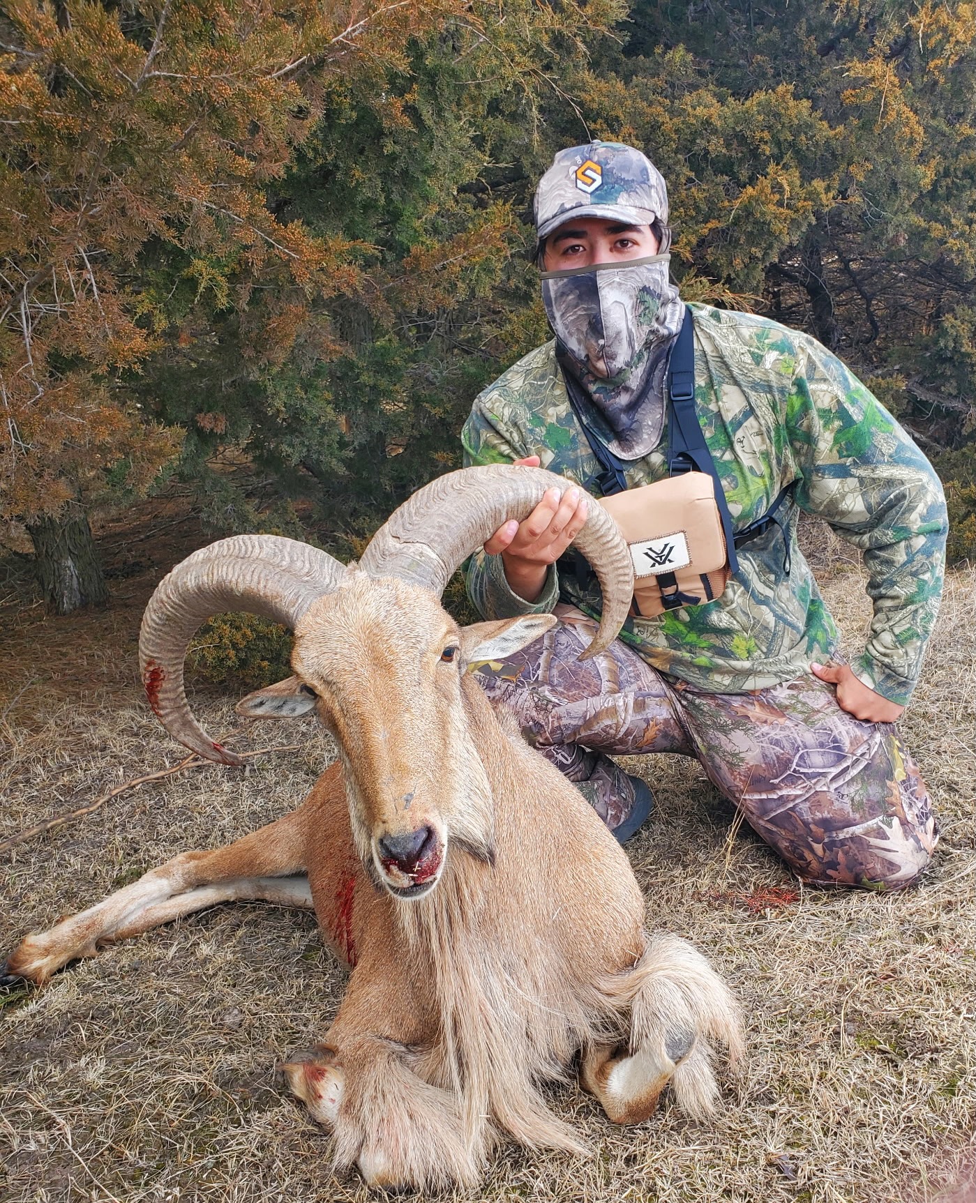 Trophy bison harvested on a guided hunt at ReWild Ranch, Nebraska — ethical and accessible experience.