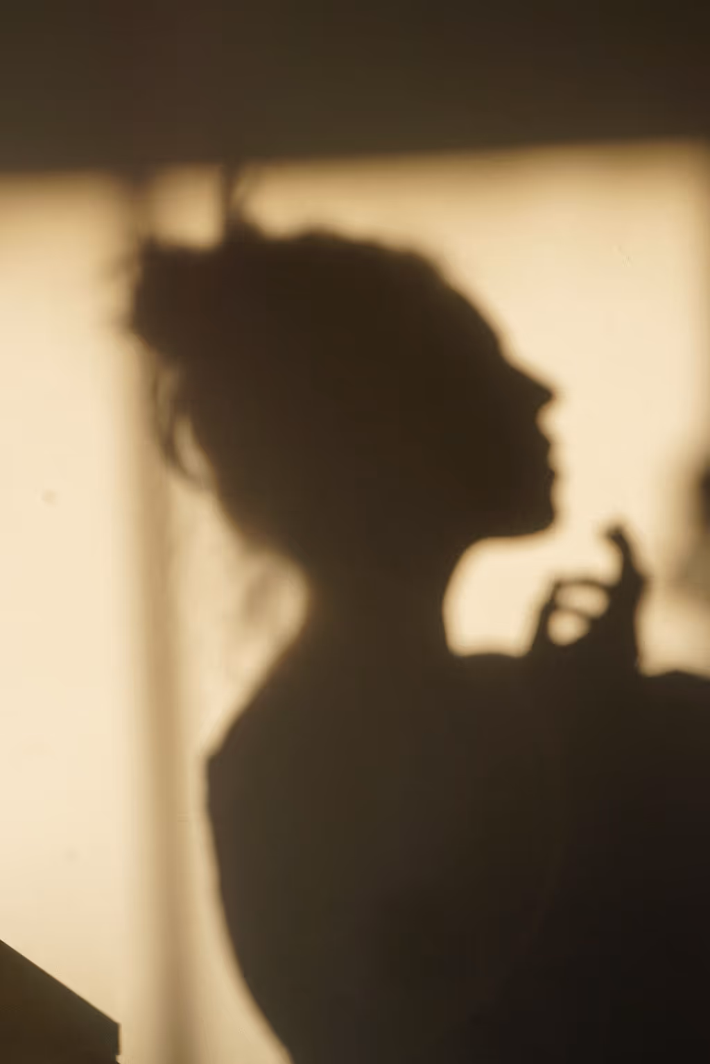 Shadow of a woman being illuminated by golden hour sunlight.