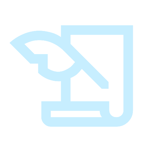 Story Icon