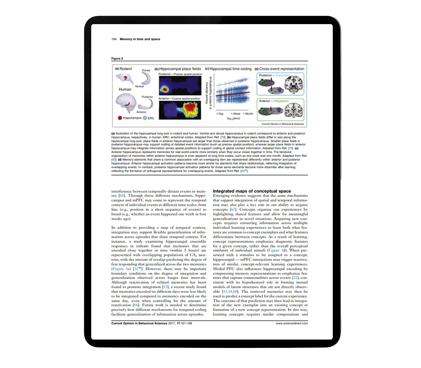 Memory Development Research Paper