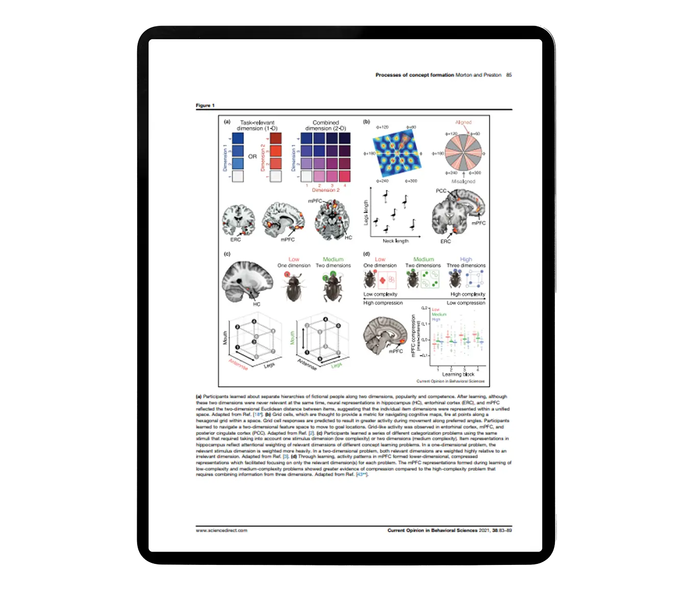 Computational Approaches to Understanding Memory Research Paper