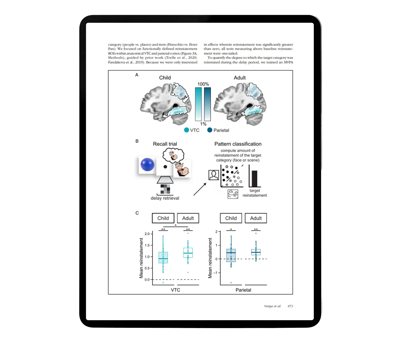 The Medial Temporal Lobe and Memory Research Paper