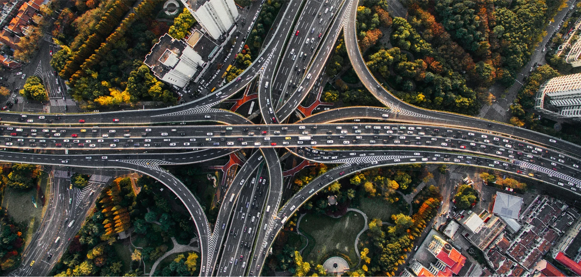 Study of international markets for business expansion