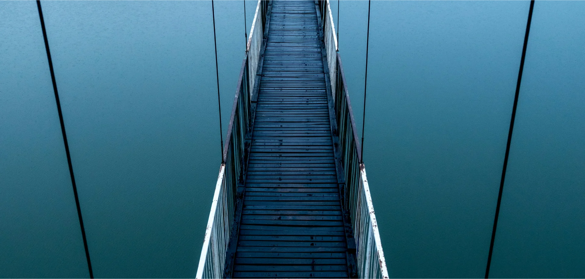 Identification and management of risks affecting reputation