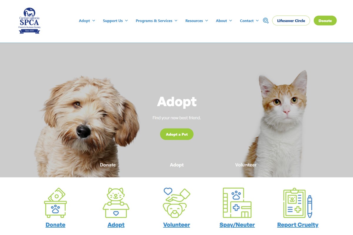 CCSPCA homepage