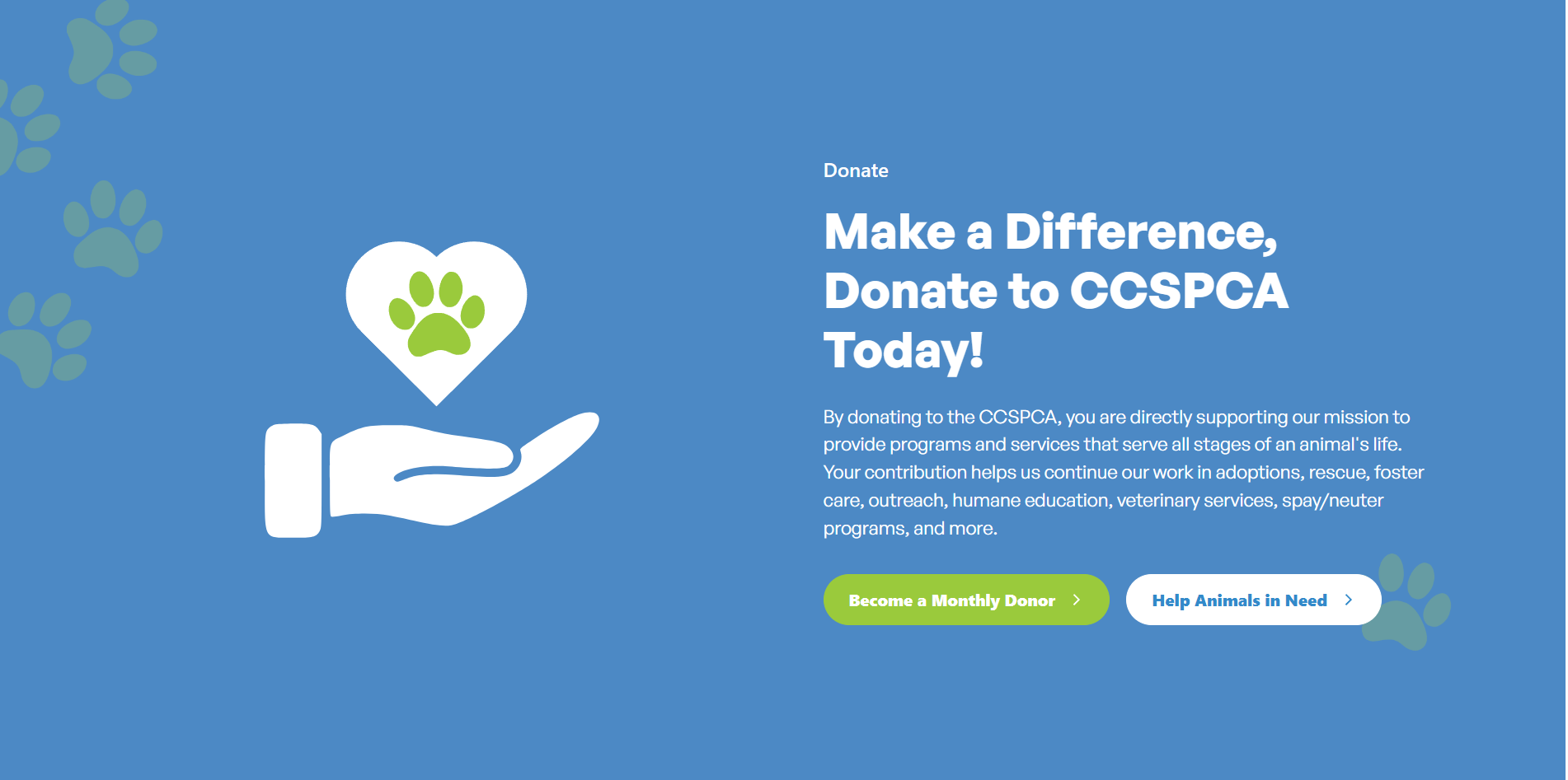 CCSPCA about page