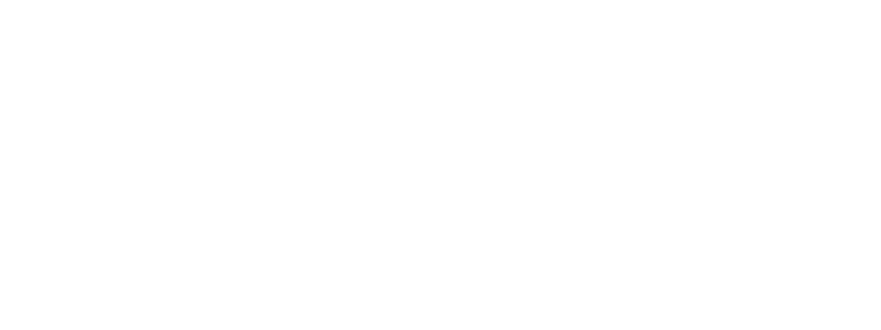 Savant