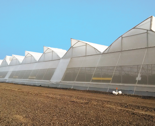 Local Farm Markets - Farm Webflow Template