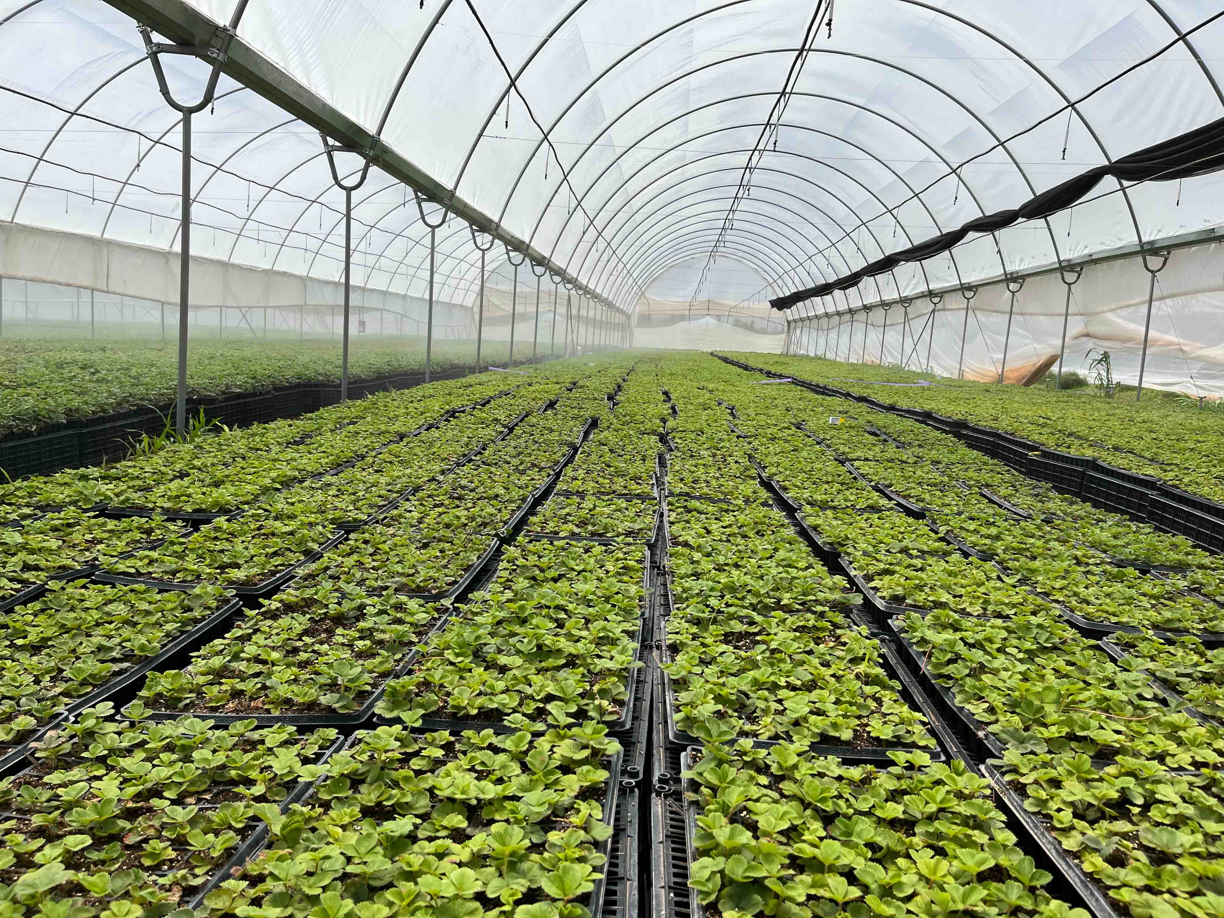 Organic Products - Farm Webflow Template