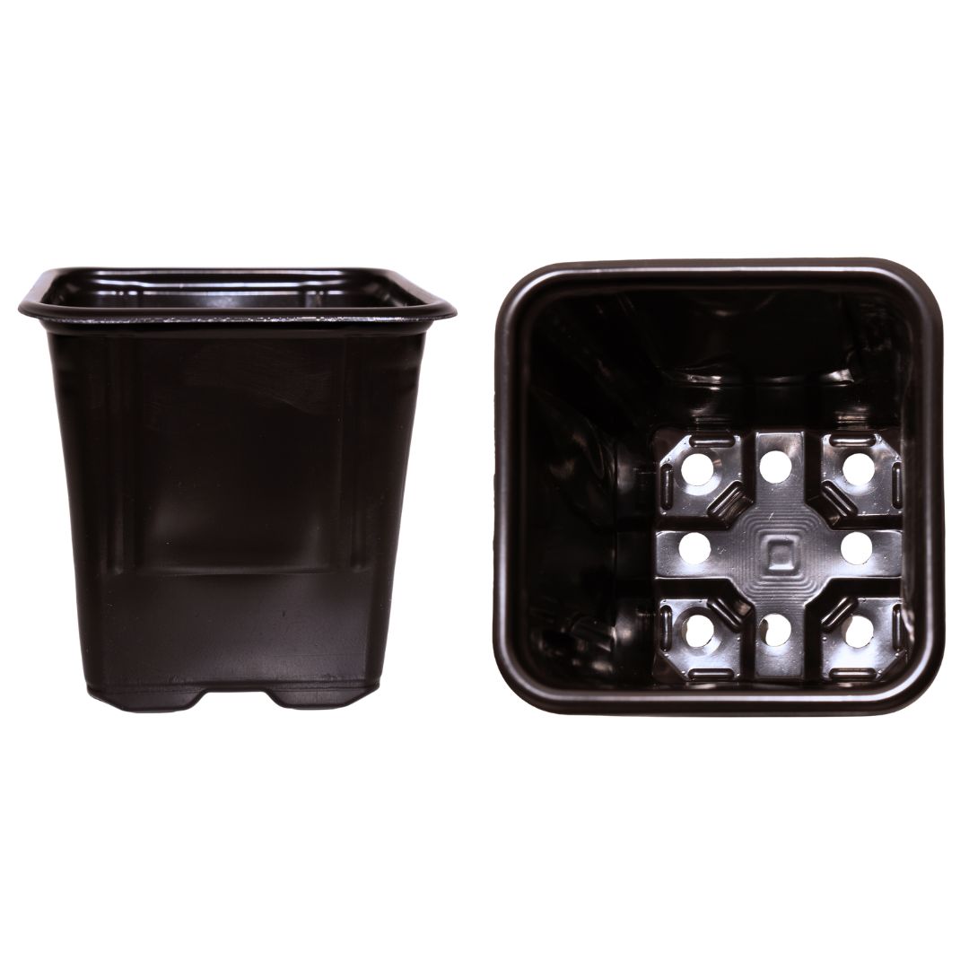 maceta termoformada, contenedor termoformado para vivero, maceta plástica para producción agrícola, recipiente para propagación de plantas, maceta técnica para cultivo, contenedor ligero para desarrollo radicular, maceta para invernadero, solución para manejo de plántulas