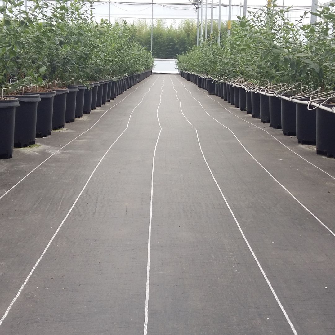 malla para pasillos de cultivo, protección de suelo, agricultura protegida