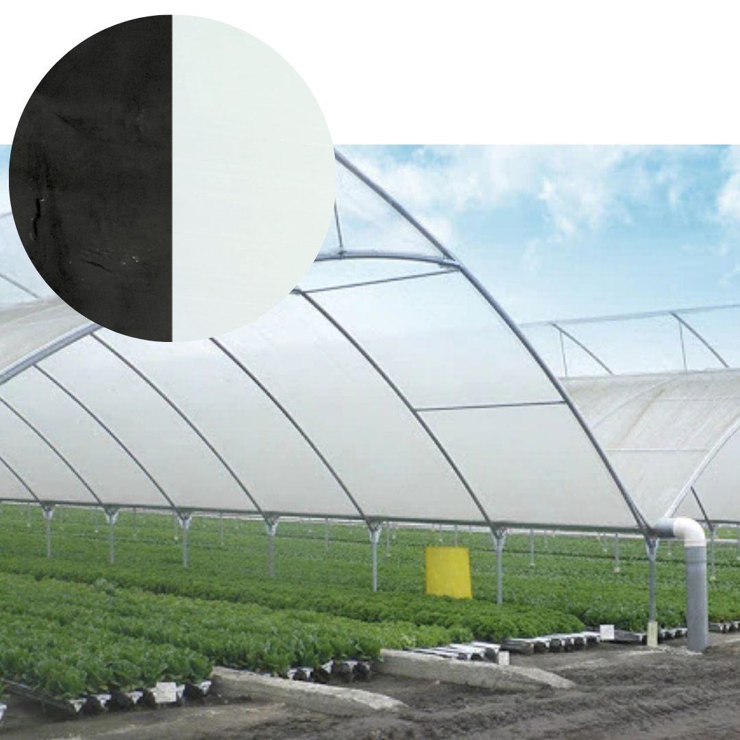 Serresplast plástico para piso blanco negro, plástico para piso agrícola, mulching blanco negro, plástico para invernadero, control de maleza, conservación de humedad, agricultura protegida, plástico agrícola en México