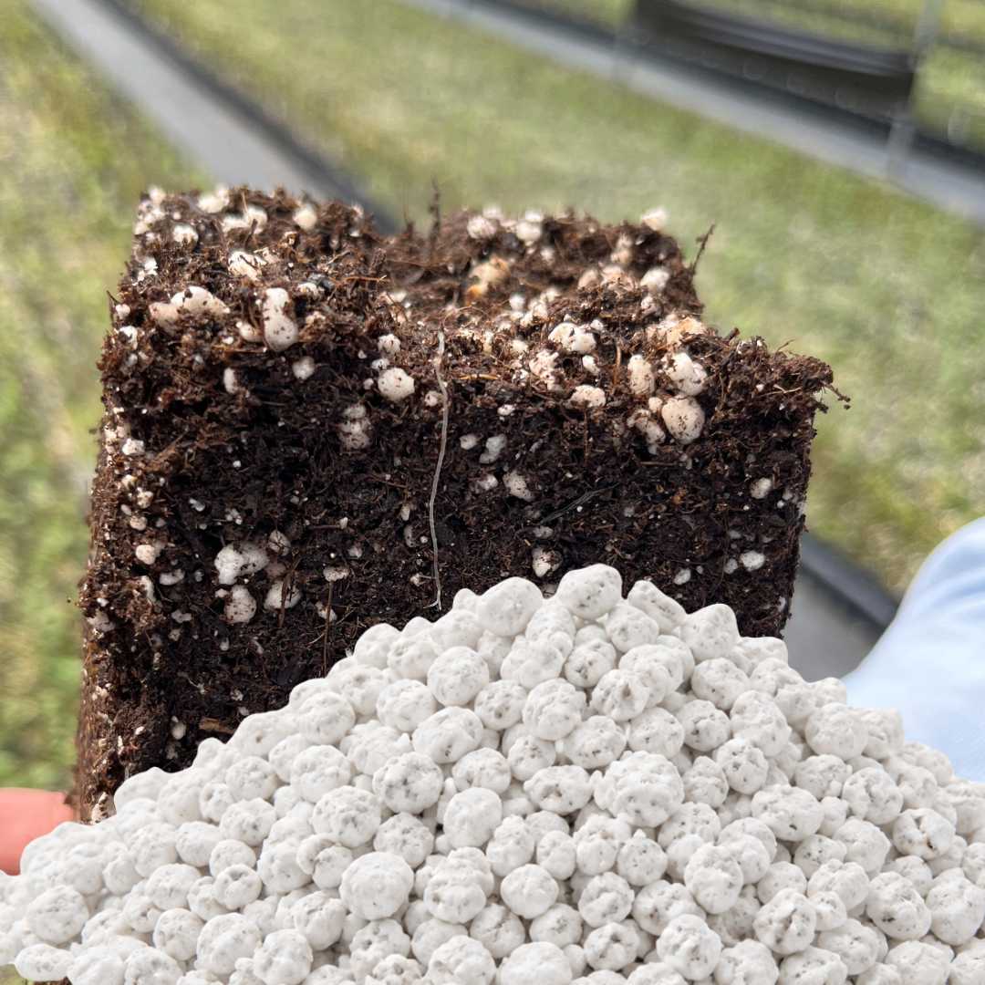 perlita gruesa agrícola · perlita para drenaje sustrato · perlita para hidroponía · perlita alta aireación raíces · perlita para cultivos intensivos · perlita evitar compactación