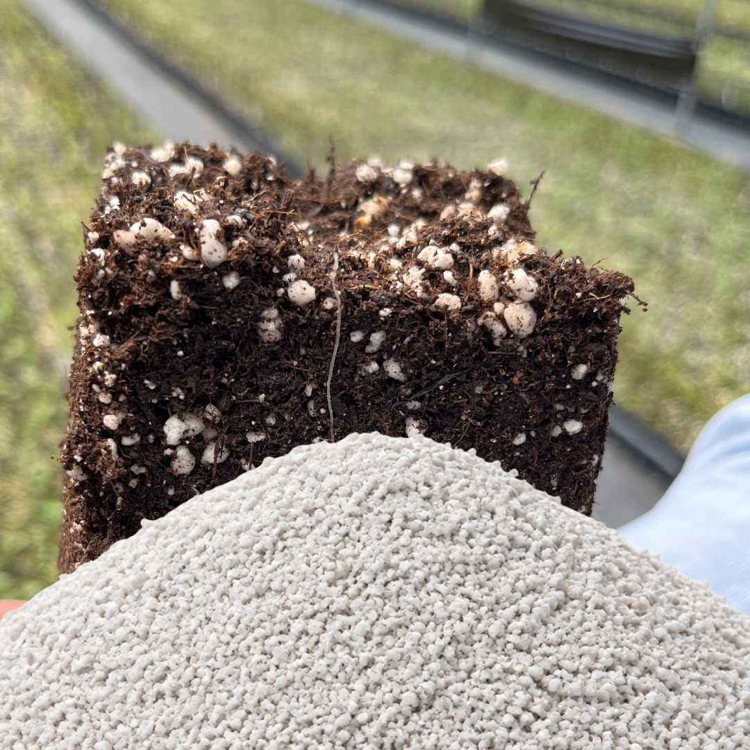perlita fina agrícola · perlita para germinación · perlita para sustrato ligero · perlita retención humedad · perlita para semilleros · perlita horticultura