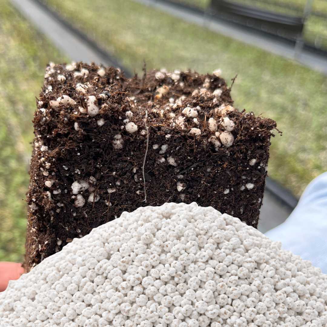 perlita media agrícola · perlita para mezcla de sustrato · perlita horticultura profesional · perlita drenaje y aireación · perlita para vivero · perlita para invernadero
