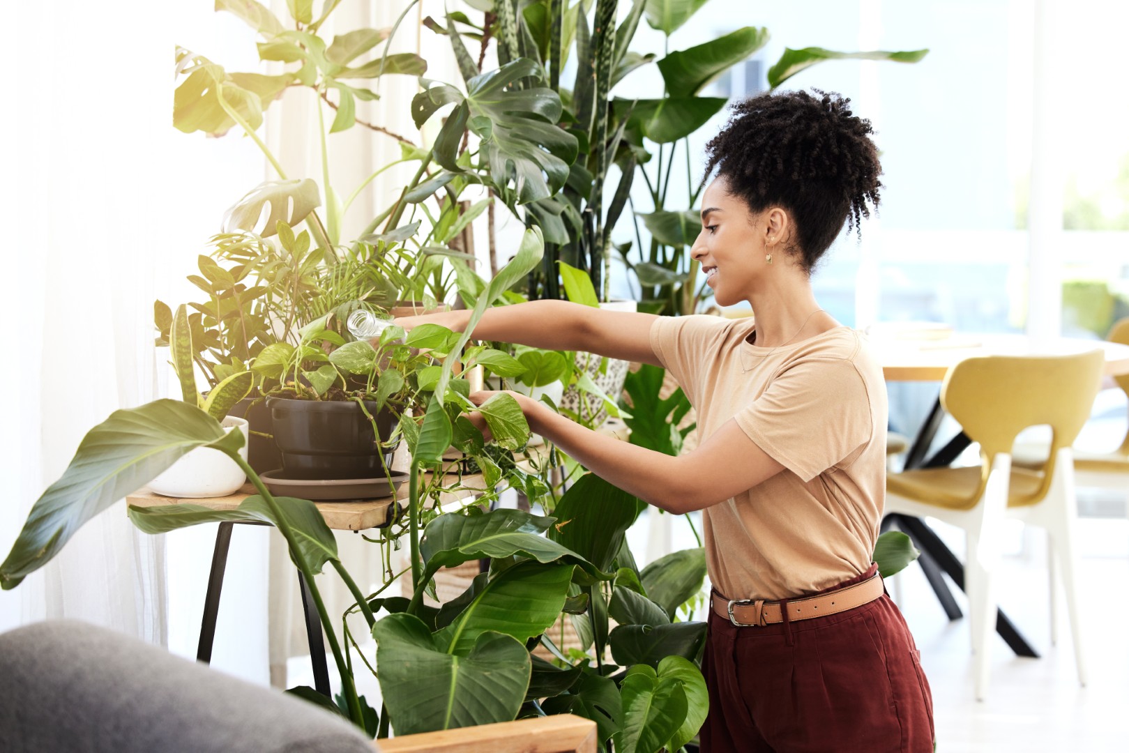Female professional caring for plants in office