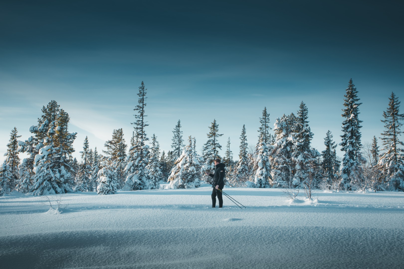 image of cleaning team in action