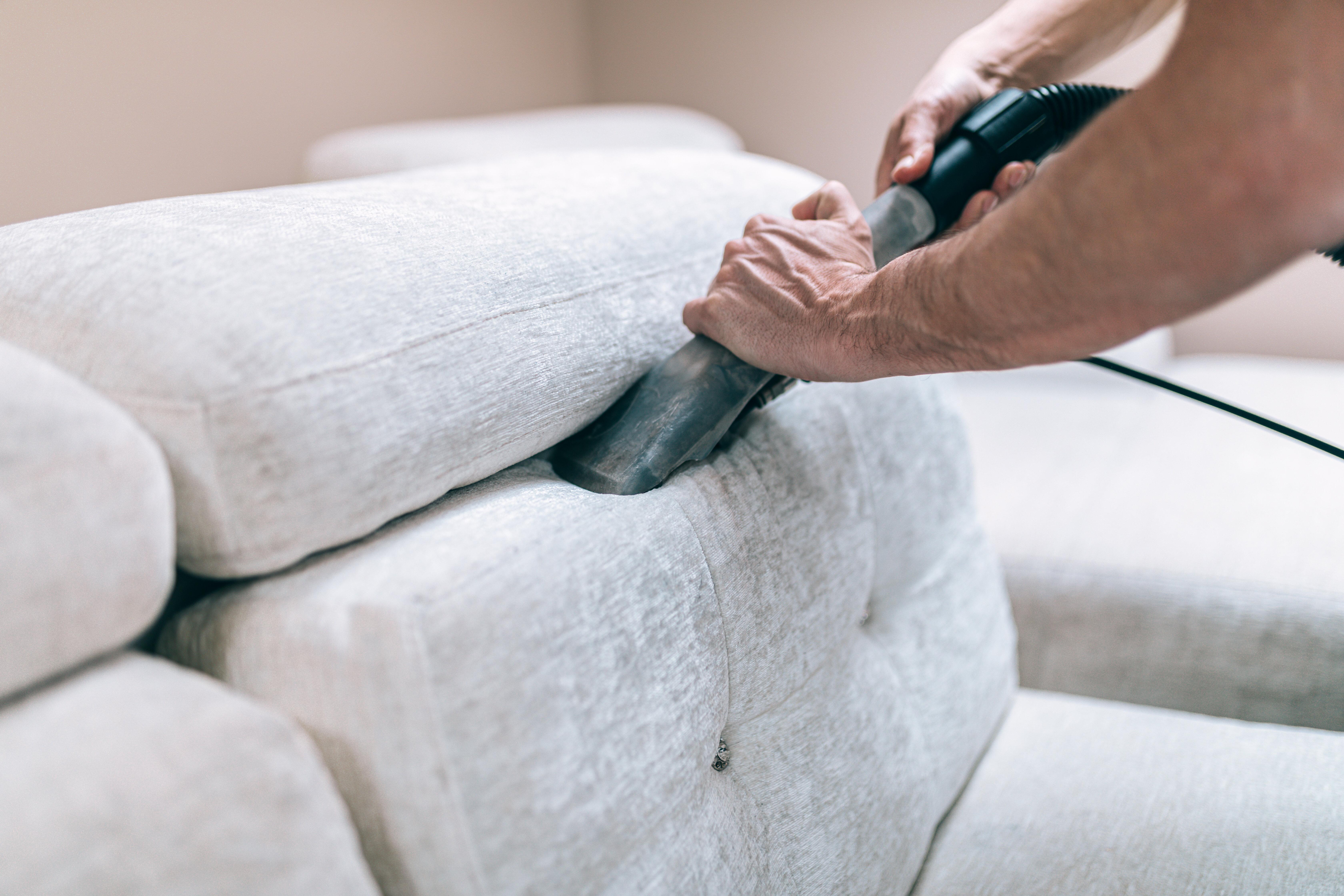 Cleaning a sofa