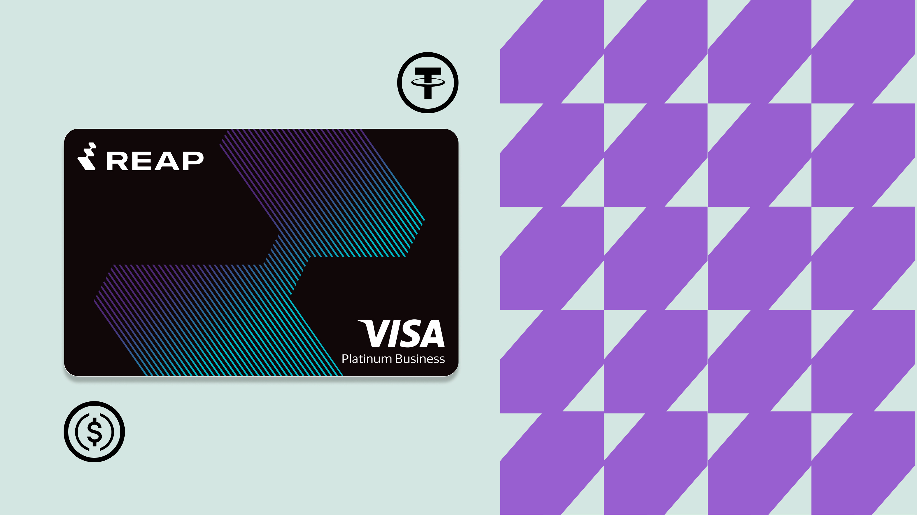 Black REAP Visa Platinum Business card with blue and purple diagonal stripes on light blue background.