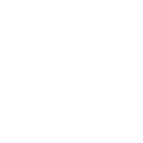 The Paak logo
