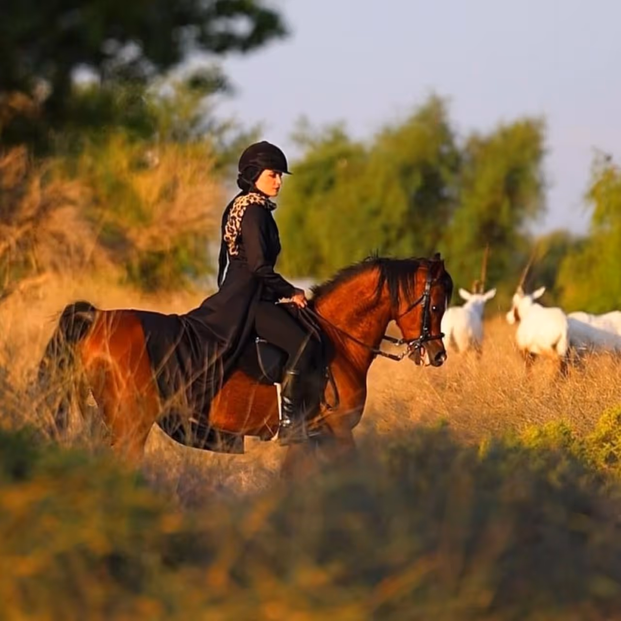 a women riding a brown horse