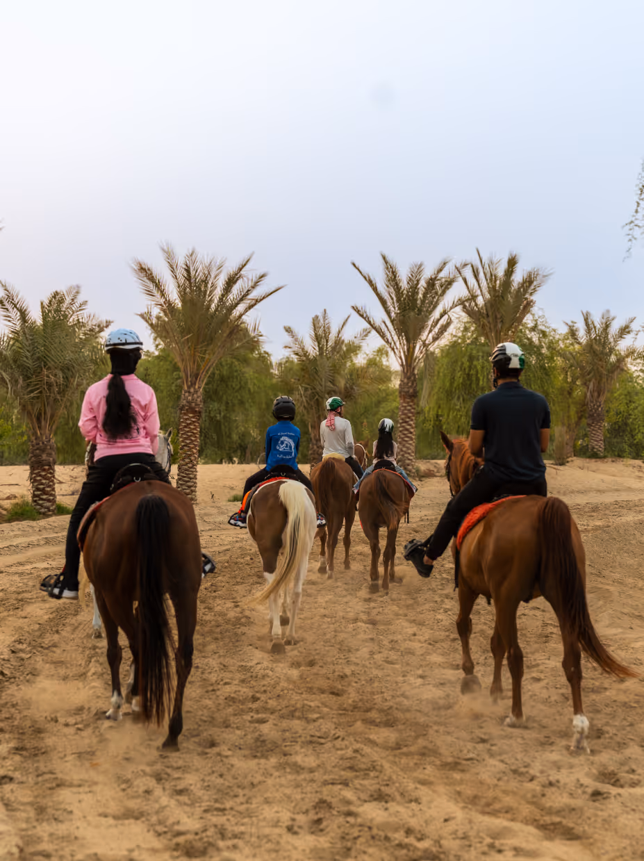 Group Horse Ride