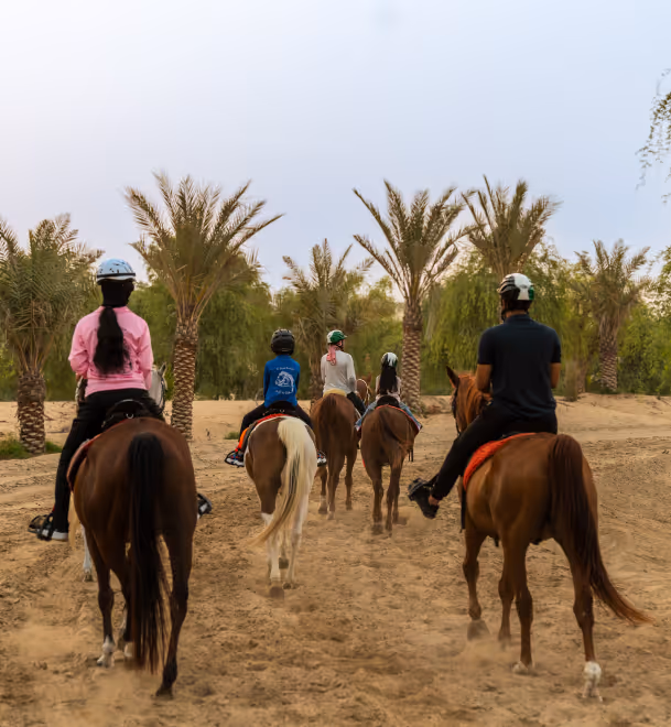 Group Horse Ride