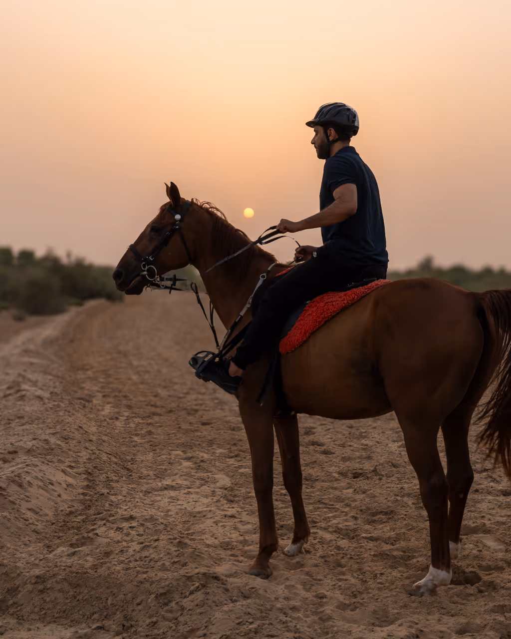  The Golden Hour Ride: Why Sunrise is the Best Time to Ride