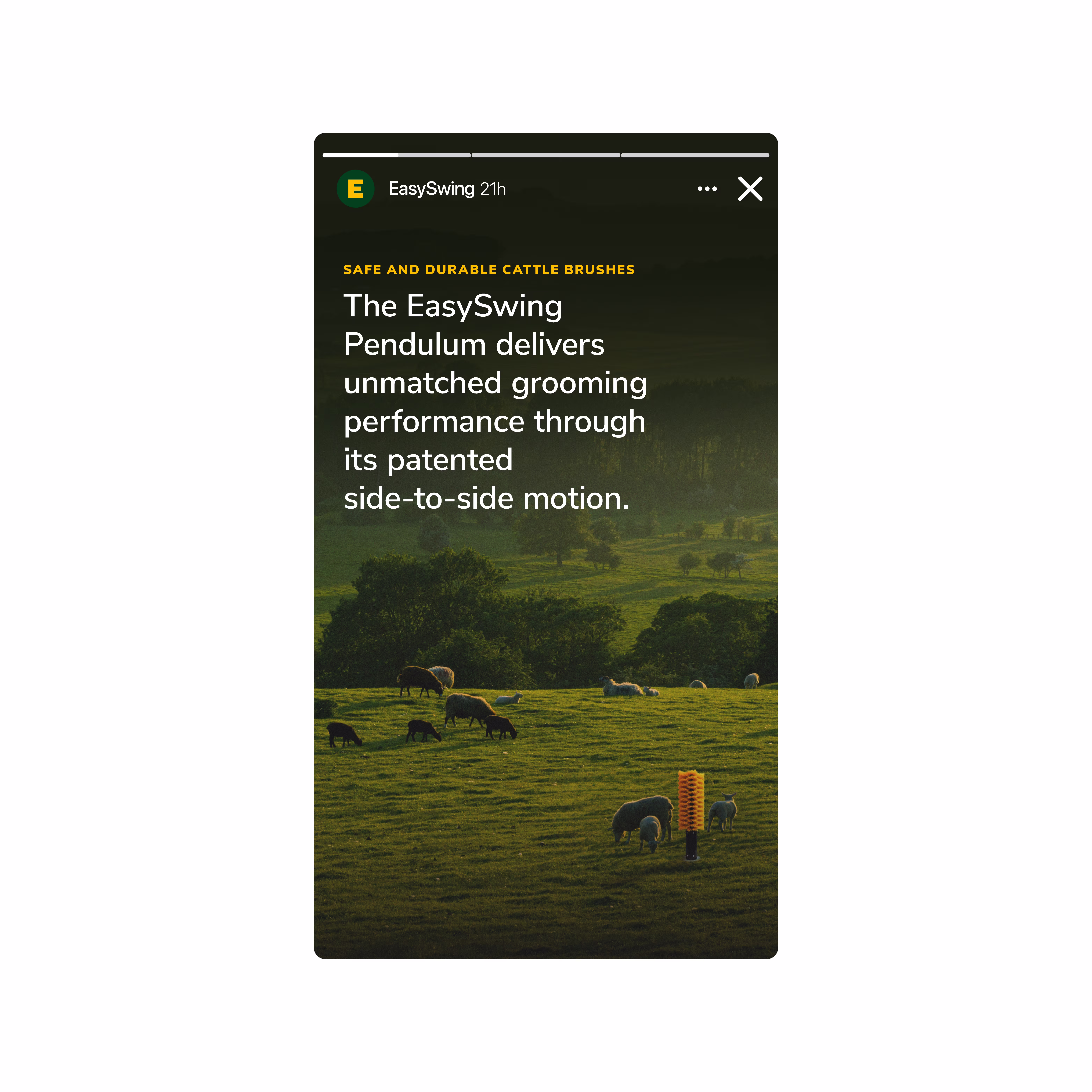 Sosiaalisen median julkaisu, jossa mainostetaan EasySwing Pendulum -karjaharjoja ja kuvassa näkyy vihreällä niityllä laiduntava lammas oranssinvärinen karjaharja asennettuna.