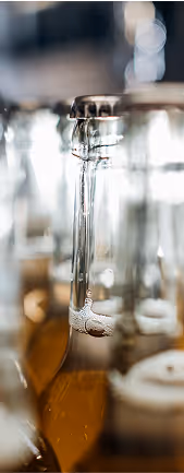 Flaschen in der Abfüllstation – Herstellung regionaler Tannenliebe Getränke