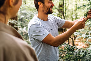 Team erntet Tannenzweige im Wald – regionale Herstellung der Tannenliebe Limonade