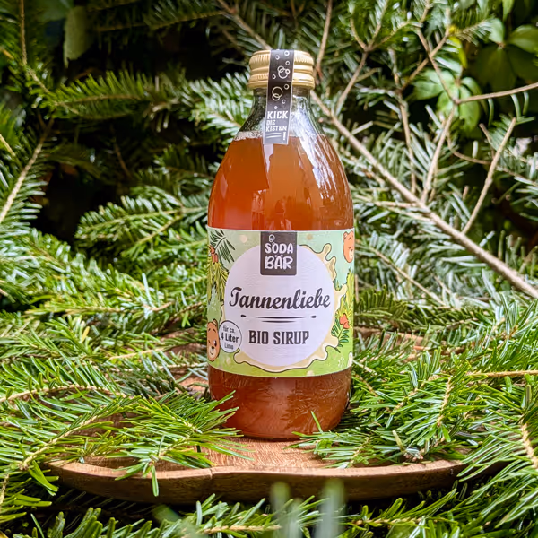 Tannenliebe Bio Sirup in brauner Flasche zwischen frischen Tannenzweigen – Waldaroma aus dem Schwarzwald