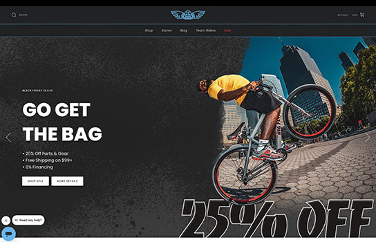 SE Bikes - Symmetry Theme