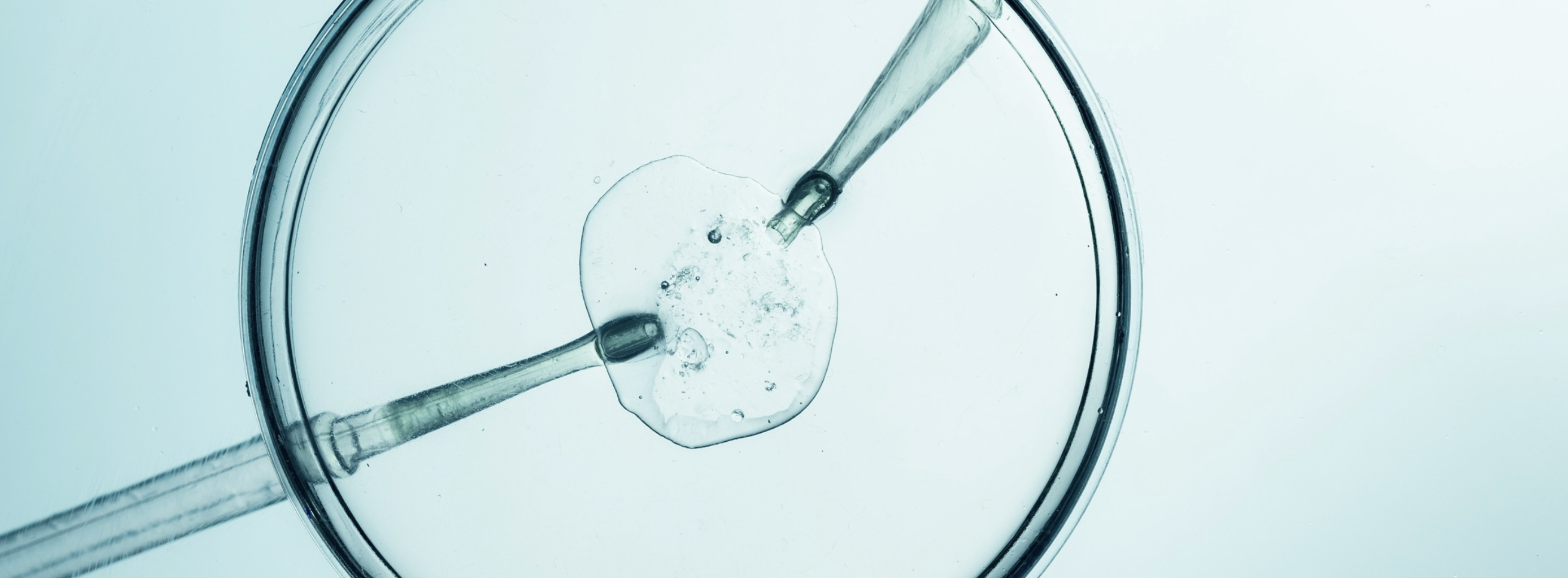 Inside the IVF Lab: Embryo Development, Genetic Testing, & What to Expect at Every Stage