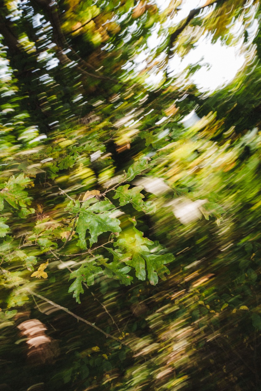 F**K FOLIAGE / MONTE ALDONE AUTUMN VIBES