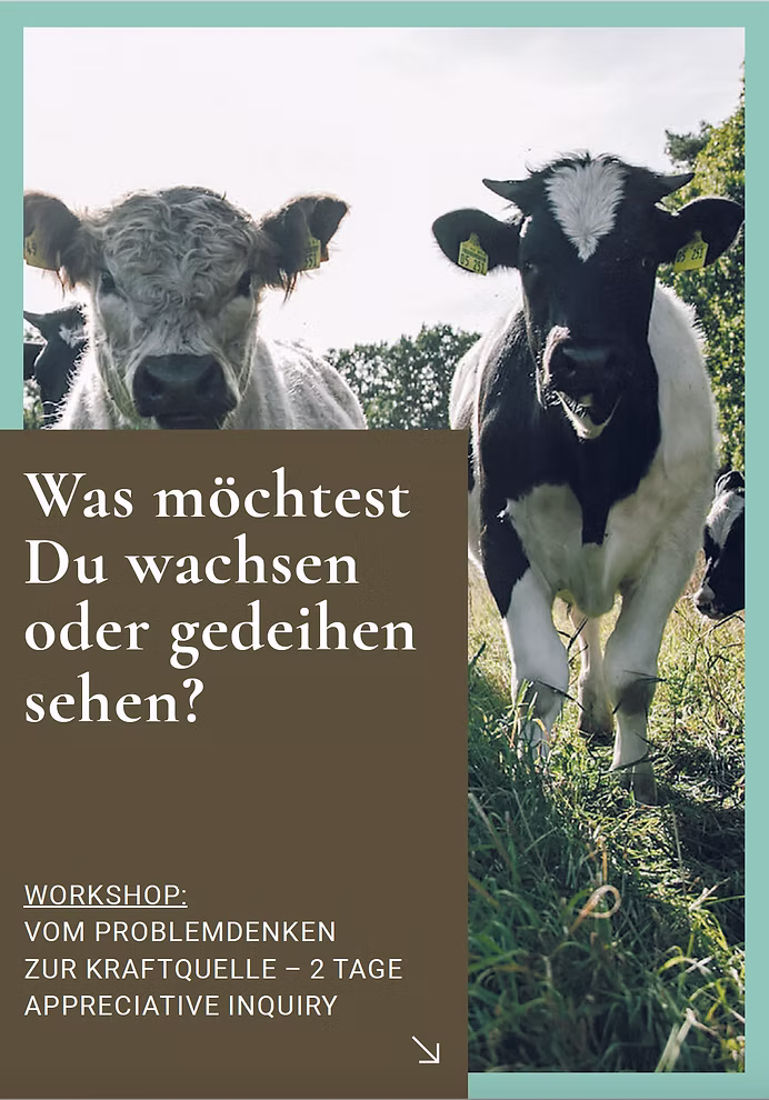 Problemdenken wird Kraftquelle