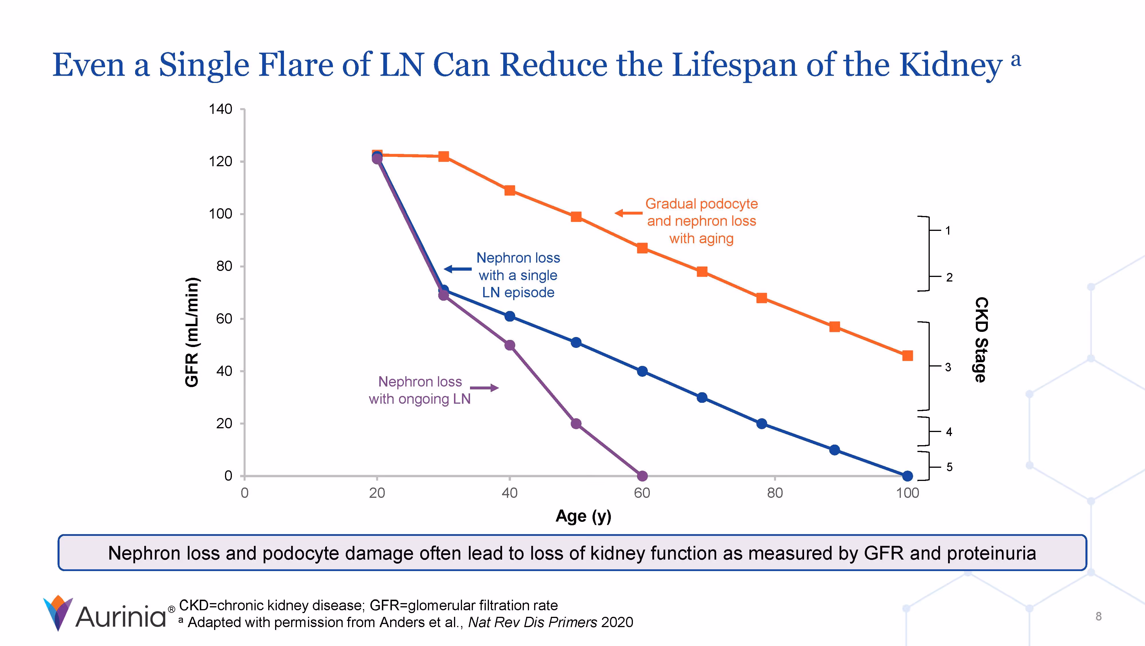Even a Single Flare of LN Can Reduce the Lifespan of the Kidney