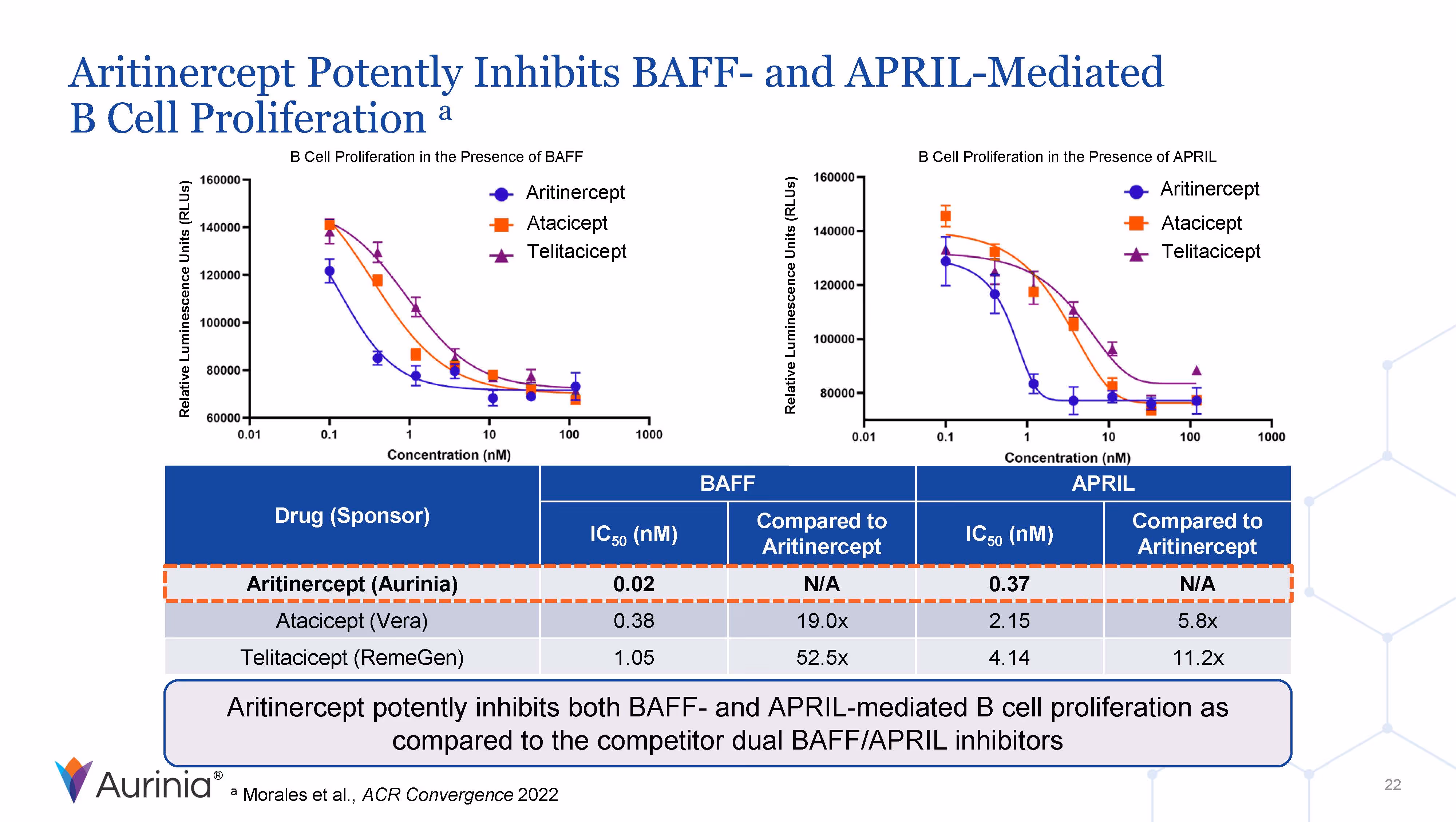 Aritinercept Potently Inhibits BAFF-and APRIL-Mediated B Cell Proliferation