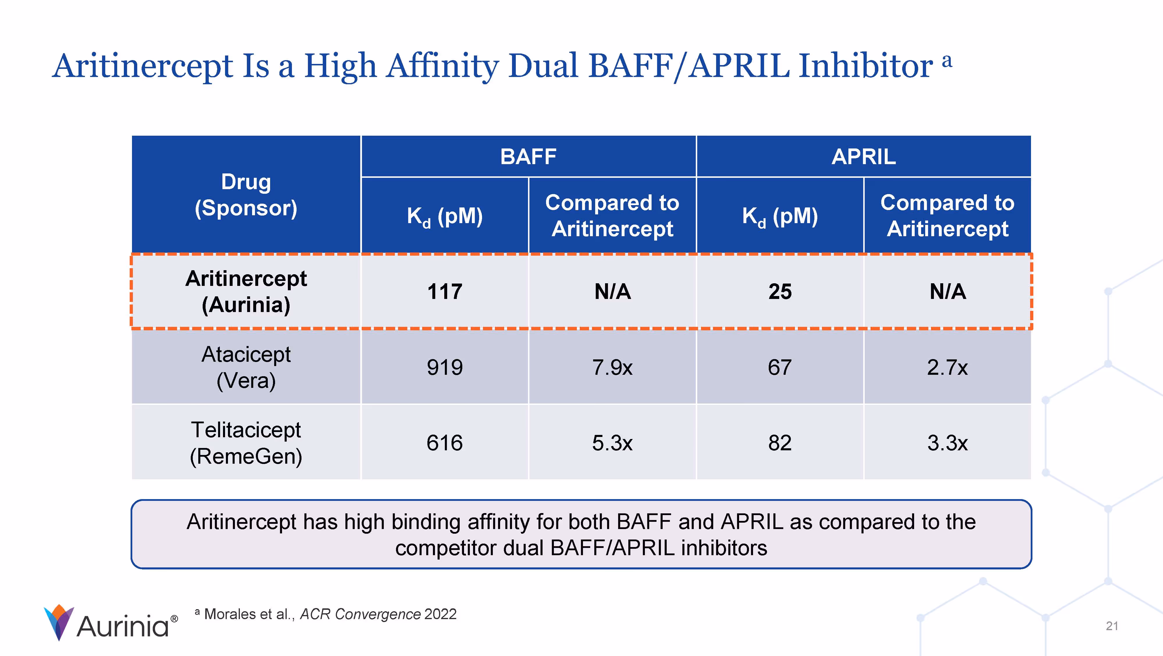 Aritinercept Is a High Affinity Dual BAFF/APRIL Inhibitor